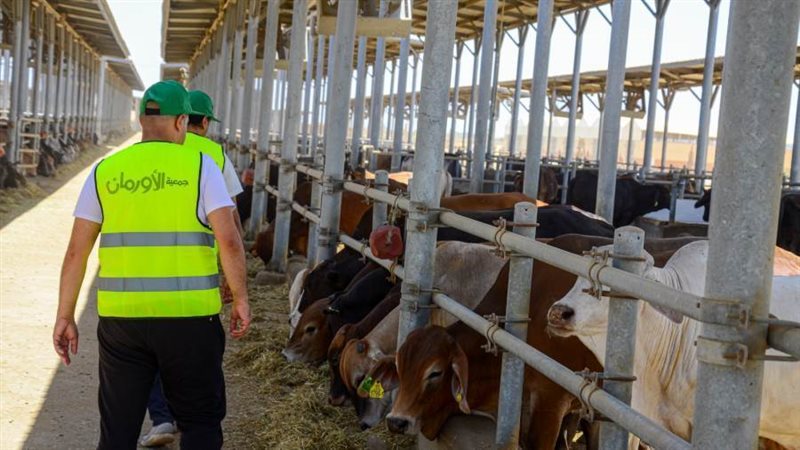 توزيع 45 طن لحوم