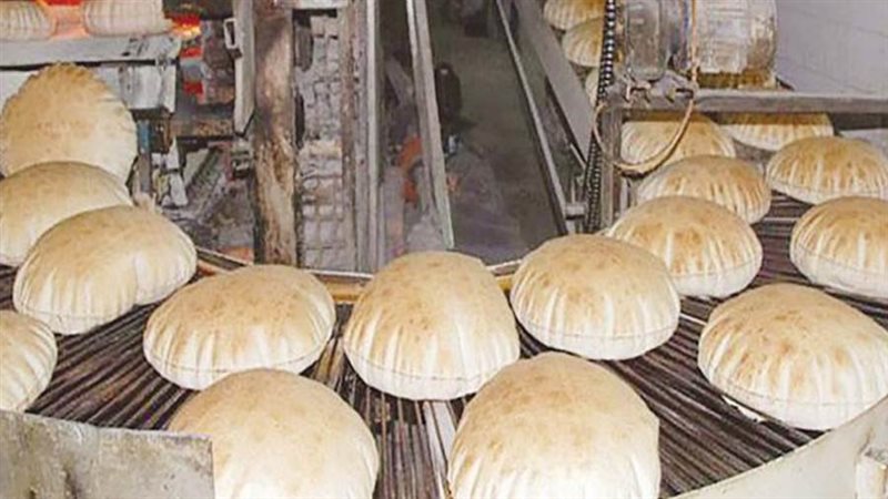 تموين الدقهلية