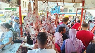 وسط إقبال متزايد من المواطنين.. استمرار ضخ اللحوم البلدية بمنافذ البيع بالبحيرة