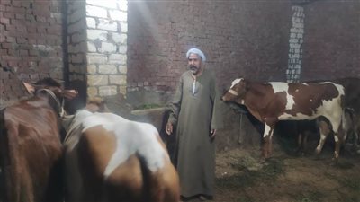 تجار يكشفون لـ