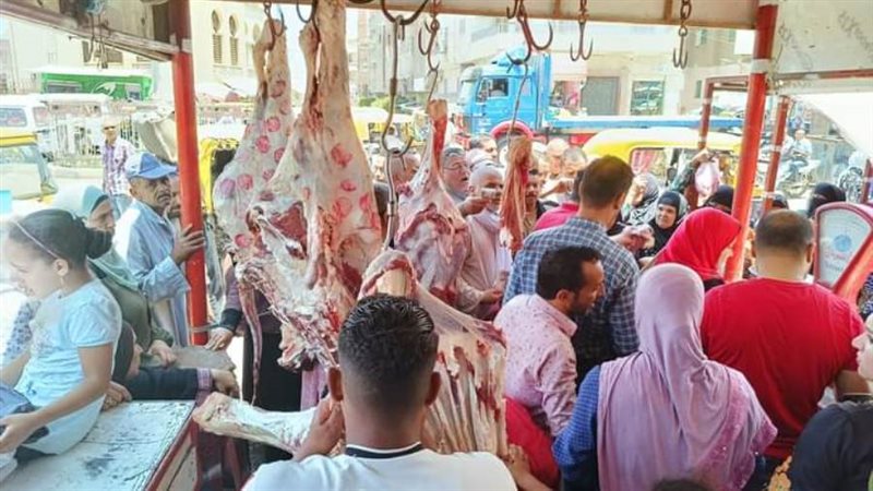 استمرار ضخ اللحوم