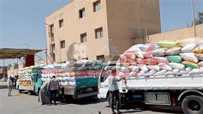 توريد 202671 طنا و218 كيلو قمح لشون وصوامع كفر الشيخ