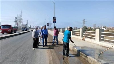 شن حملات نظافة بمحافظة الدقهلية استعدادا لعيد الأضحى