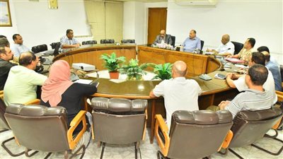 محافظ أسيوط يتابع نسب الإنجاز في مشروع محور منفلوط العلوي 