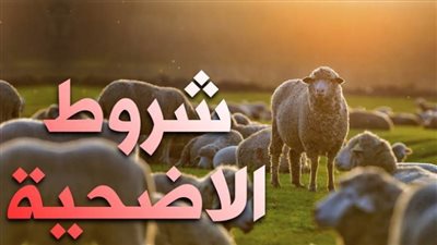 تعرف على شروط الأضحية