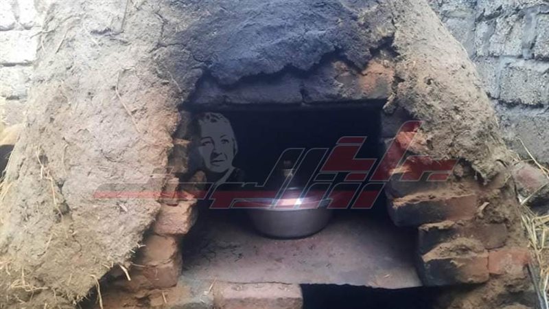 الأرز المعمر داخل