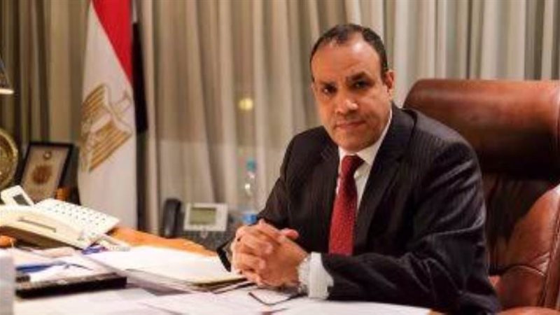 سفير بدر عبد العاطي