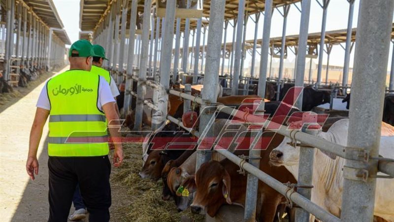 جمعية الاورمان