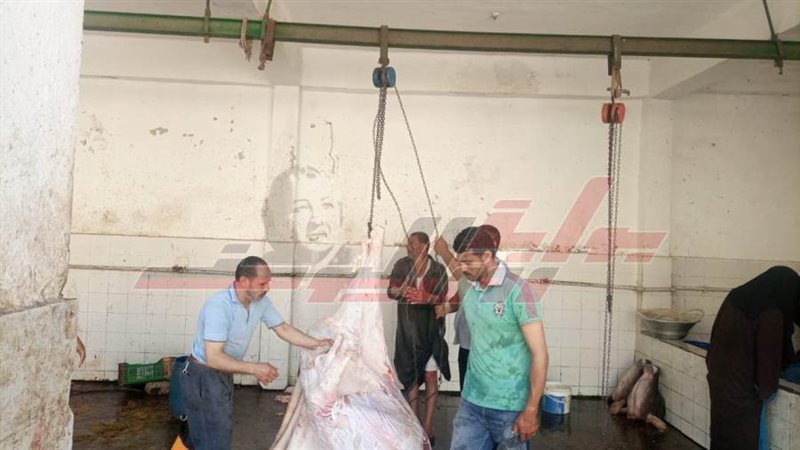 مجازر كفرالشيخ