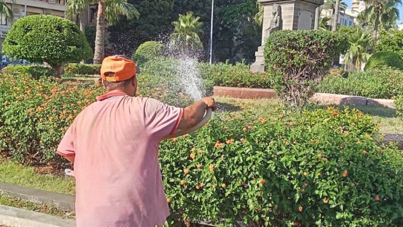 محافظ الإسكندرية