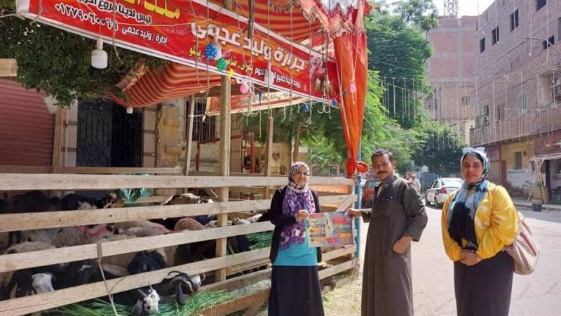 حملات ببنى سويف للتخلص