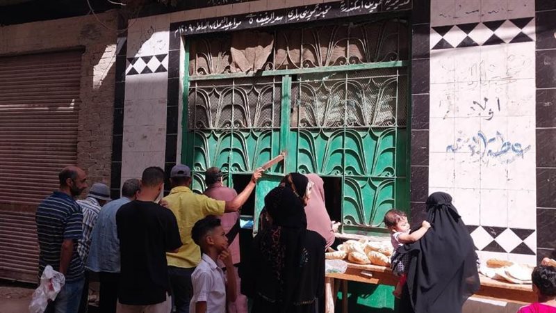 تموين إلاسكندرية