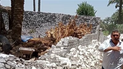 بني سويف : إزالة 36 حالة تعد على الأرض الزراعية 