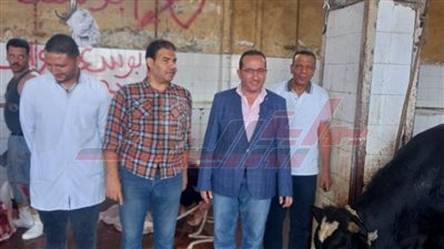 16 مجزراً تستقبل 1498 رأس ماشية وتقديم كافة الخدمات مجاناً بكفر الشيخ