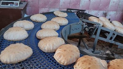 تحرير 108 محاضر لمخابز بلدية وضبط مواد غذائية منتهية الصلاحية بالبحيرة 