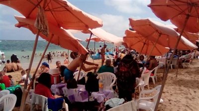 شواطئ الإسكندرية نسبة الإشغال ١٠٠%