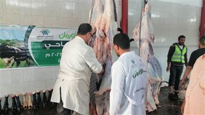 ذبح 70 أضحية في ثالث أيام عيد الأضحى وتوزيعها على مستحقيها بالبحيرة