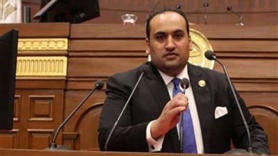 الرشيدي: ثورة 30 يونيو أنقذت البلاد من الدخول في النفق المظلم