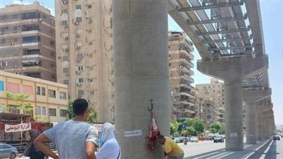 بيان عاجل من محافظة القاهرة بشأن جريمة جزار بأحد أعمدة المونوريل