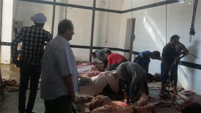 بالصور. ٤٦٣ أضحية استقبلتها مجازر الوادي الجديد خلال أيام عيد الأضحى المبارك