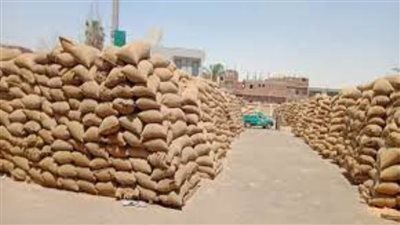 محافظ الغربية صوامع الغربية تستقبل 199ألفا 580 طنا من إجمالي القمح المستهدف