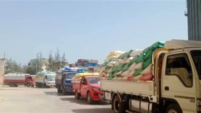 المنيا تستقبل 467 ألف طن من القمح بالشون والصوامع 