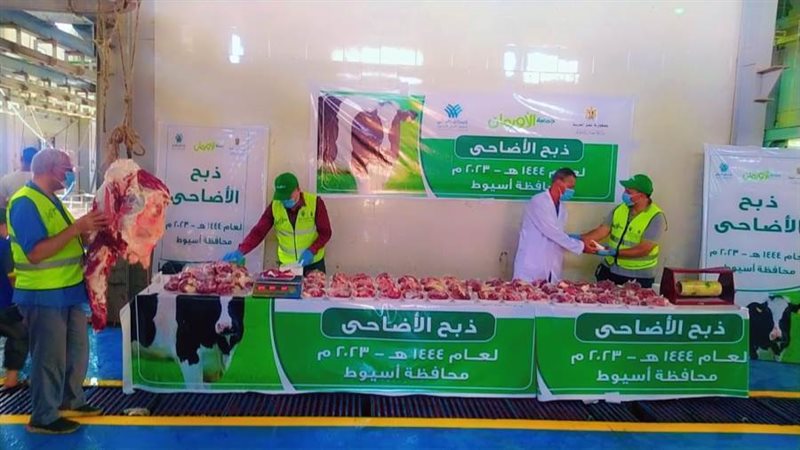 محافظ أسيوط يعلن