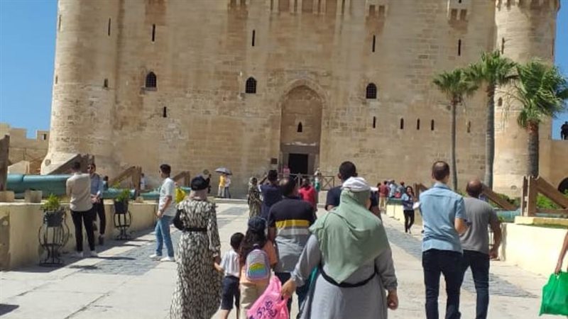 اقبال كبير تشهده