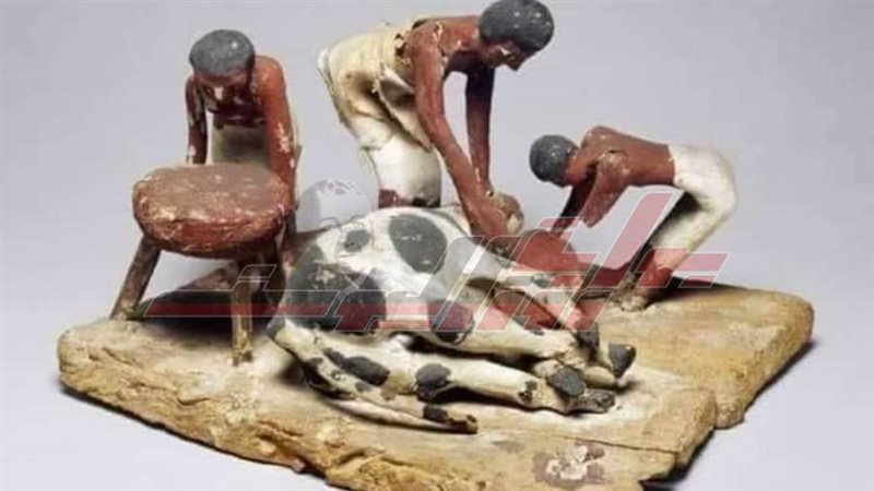 ماكيت يصور عملية