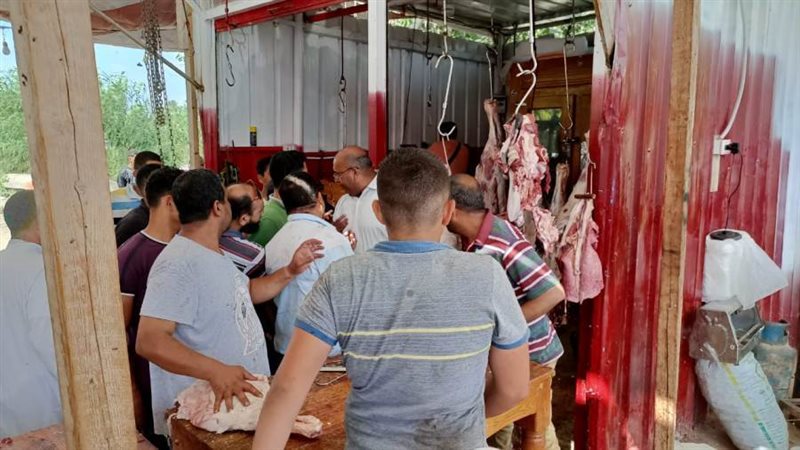 محافظ الإسكندرية