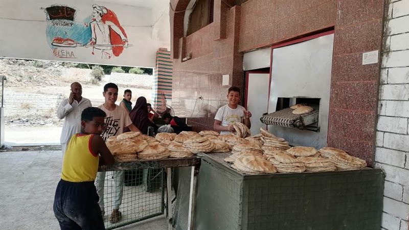 تموين إلاسكندرية