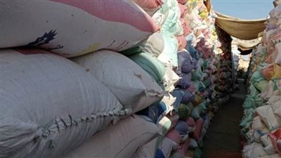 ارتفاع معدلات توريد القمح إلى 397 ألف طن قمح بالبحيرة 