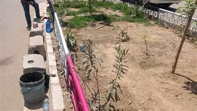 الوحدات المحلية بالمنيا تواصل حملات النظافة وإزالة الإشغالات