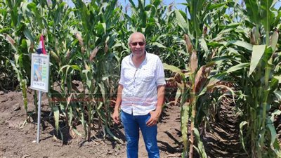 نقيب الزراعيين يكشف لـ