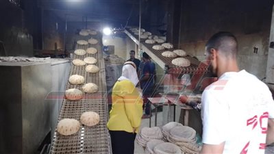 حملات مكبرة على الأسواق والمحال التجارية بكفر الشيخ