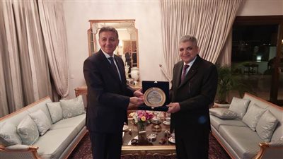   الفريق أسامة ربيع يلتقي السفير المصري باليونان لبحث سبل تعزيز التعاون مع الشركات اليونانية العاملة في مجال النقل البحري 