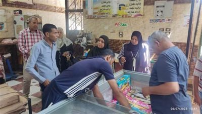 حملات مكثفه لضبط الأسعار بالوادي الجديد 