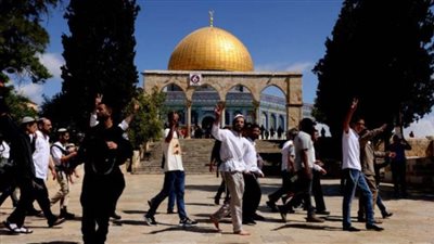 مُستوطن يصيب شابًا فلسطينيًا بالرصاص جنوب الضفة الغربية المُحتلة