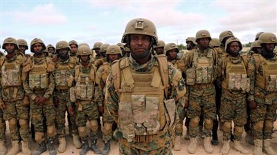 القوات المسلحة الصومالية تنفذ عملية عسكرية ضد الإرهابيين في إقليم جوبا السفلى
