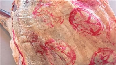 ننشر تفاصيل مضبوطات الحملات البيطرية المكثفة بأسواق الإسماعيلية