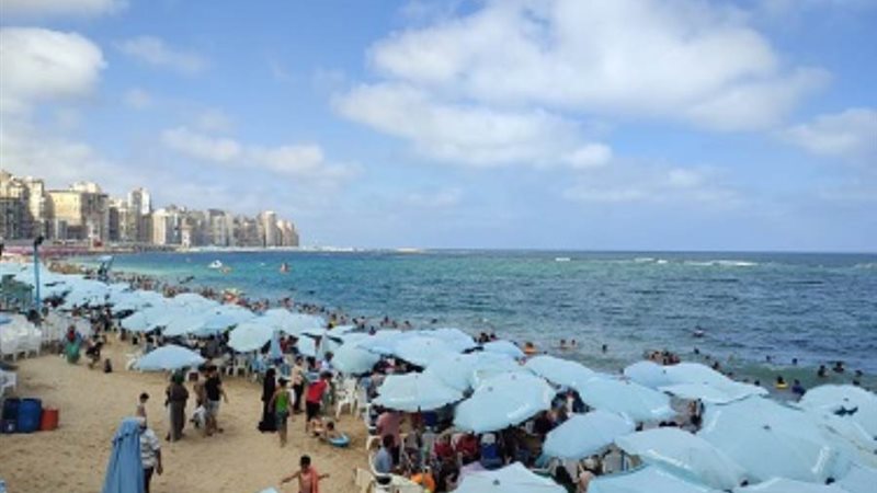 شواطىء الإسكندرية