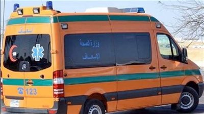 مصرع شخصين غرقا وصعقا بالكهرباء في شبين القناطر