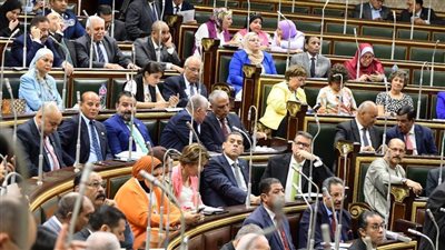 مجلس النواب يوافق مبدئيا على مشروع قانون التحالف الوطني للعمل الأهلي