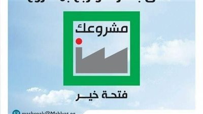 تمويل 33 ألفًا و258 مشروعًا بـ3 مليارات و195 مليون جنيه بالبحيرة