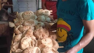 المنيا.. ضبط 49 مخالفة متنوعة خلال حملات على المخابز البلدية والأسواق