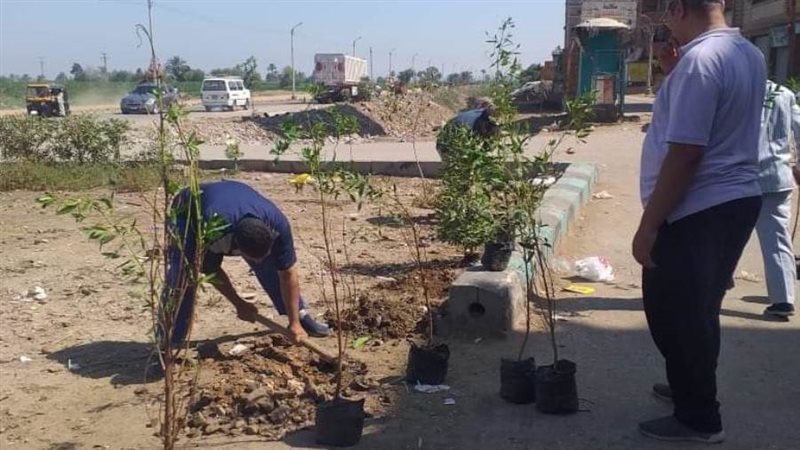 حملات للنظافة والتشجير