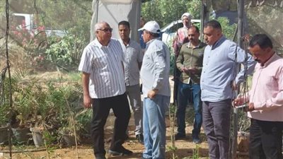 محافظ الوادي الجديد يتفقّد المشروعات الزراعية في جولةٍ مفاجئة لتقييم جدّية الأعمال
