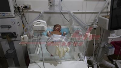 محافظ كفر الشيخ يطمئن على الأطفال الذين جرى نقلهم من مستشفى سيدي سالم