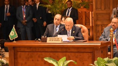 أبو الغيط يشكر الرئيس السيسي لانعقاد قمة دول الجوار 