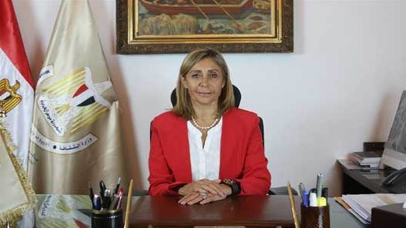 الدكتورة نيفين الكيلانى